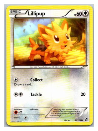 Lillipup 81/114 Black & White (Common) (LP Condition)