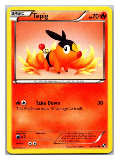 Tepig  16/114 Black & White (Exc Condition) (Common)