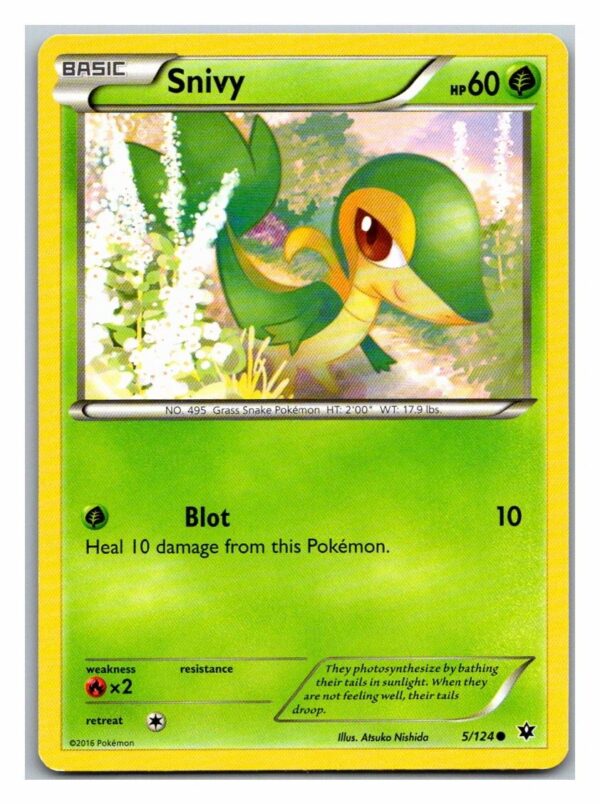 Snivy 5/124 Fates Collide (Common) (Exc Condition)