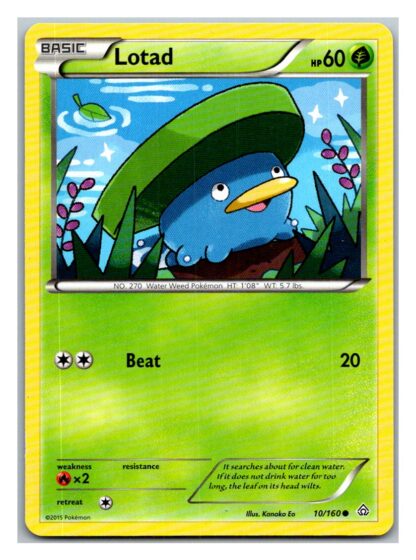 Lotad 10/160 Primal Clash (Common) (LP Condition)