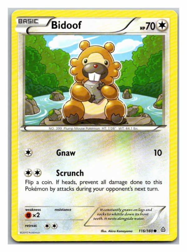 Bidoof 116/160 Primal Clash (Common) (Exc Condition)