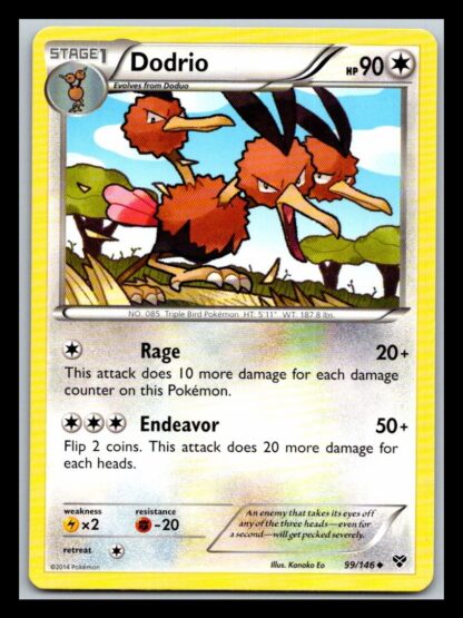 Dodrio 99/146 XY Base Set (Uncommon) (LP Condition)
