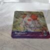 Regirock ArtBox Flipz Premier Edition