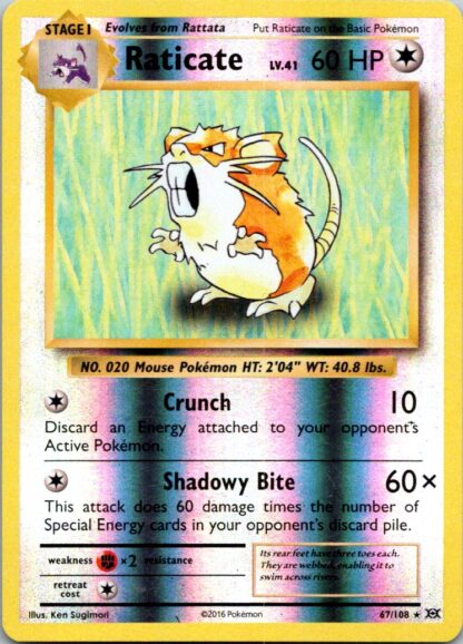Raticate 67/108 Evolutions (Reverse Holo) (LP Condition)