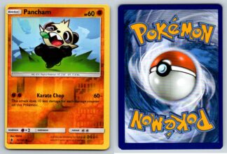 Pancham 72/145 (Reverse Holo) (Exc Condition) *Off Center Miscut w/ alignment dot*