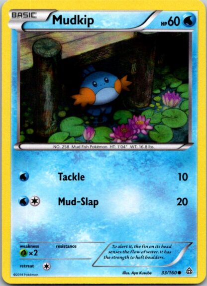 Mudkip 33/160 Primal Clash (Holo Promo) (Exc Condition)